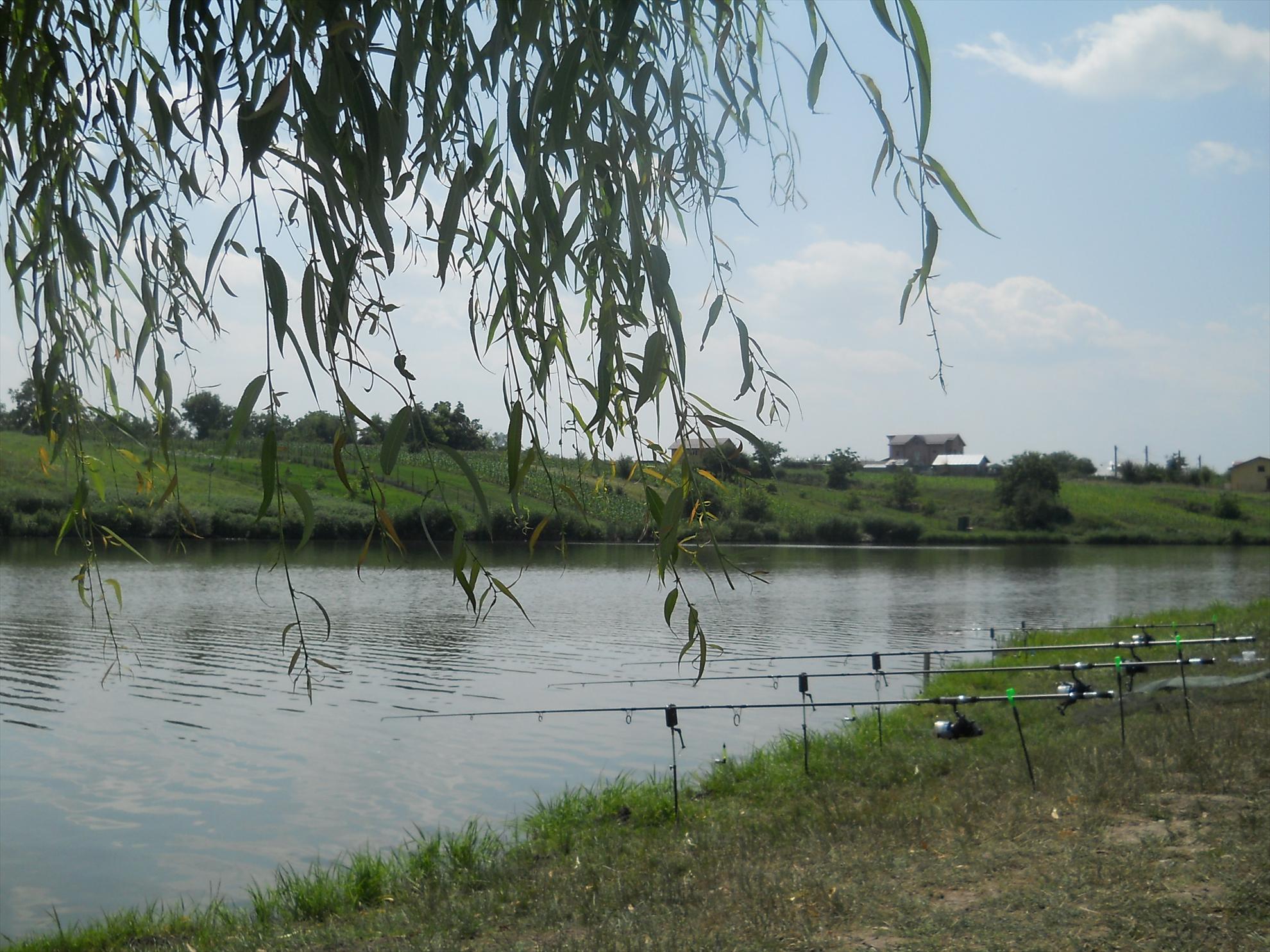 Moara Vlasiei 2012 - dscn0608.JPG